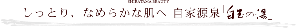 しっとり、なめらかな肌へ 自家源泉「白玉の湯」