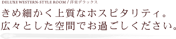 きめ細かく上質なホスピタリティ。広々とした空間でお過ごしください。